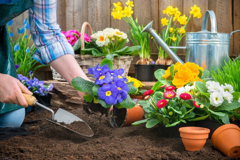 Garden Tilling Service