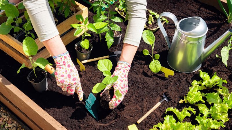 Garden Tilling Service